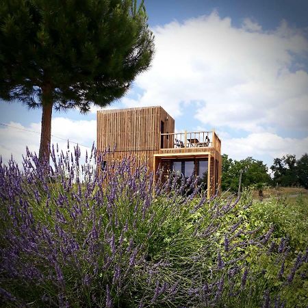 Manege De La Chapiniere - Dadaloge Tiny-House Villa Châteauvieux Exterior photo